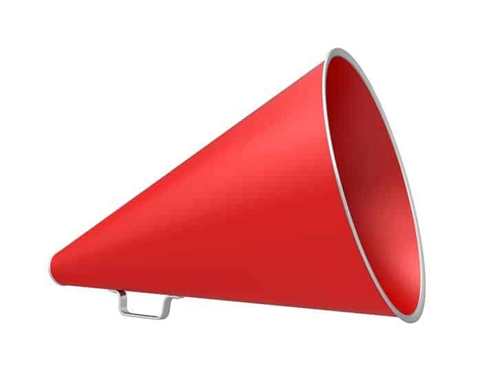 The_cone_speakers